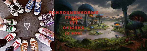 МДПВ Армянск