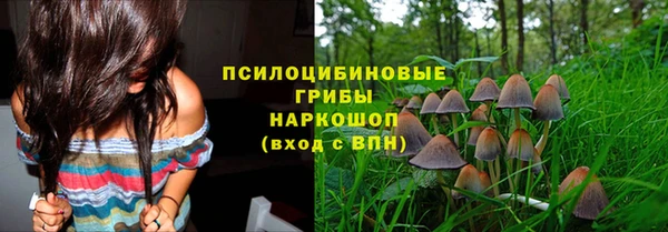 МДПВ Армянск