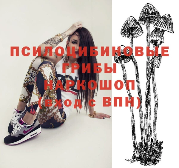крисы Арсеньев