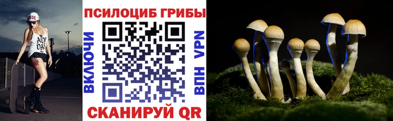 Псилоцибиновые грибы Psilocybine cubensis  ОМГ ОМГ tor  Новодвинск  где купить  